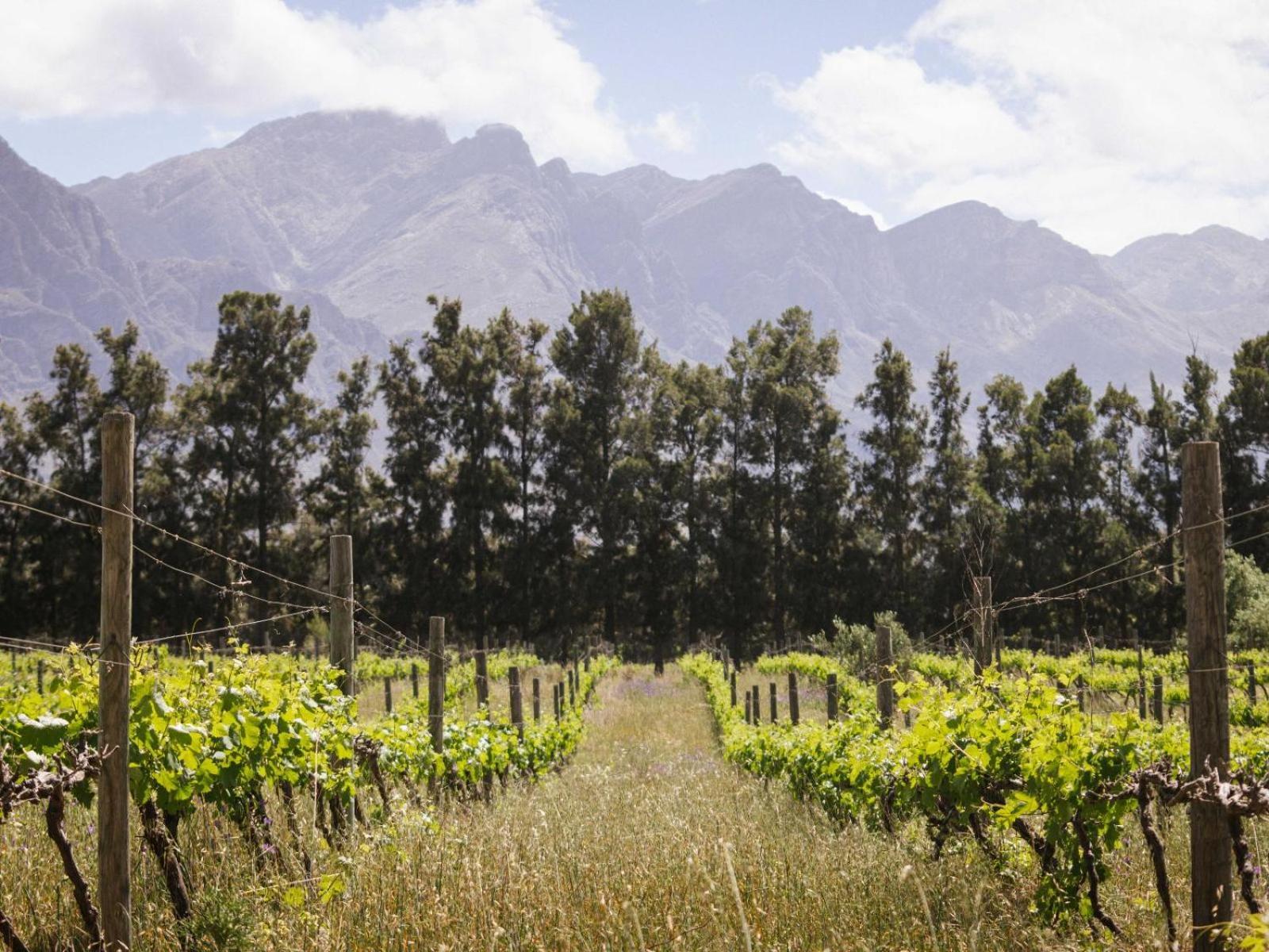 Duikersdrift Winelands Country Escape Hotel Tulbagh Exterior photo